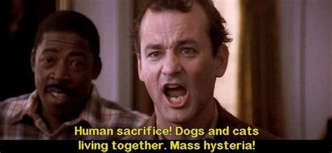 Funny Ghostbusters Quotes - ShortQuotes.cc