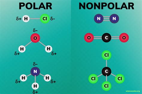 Polar and Nonpolar Molecules