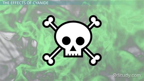 Cyanide | Definition, Formula & Symbol - Video & Lesson Transcript ...