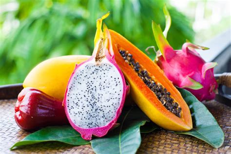 Tropical Fruit Trees - Louie's Nursery Riverside CA