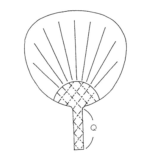 Japanese Fan Template Printable - mauriciocatolico