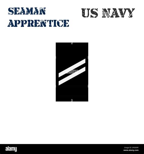 Seaman Apprentice Stock Vector Images Alamy