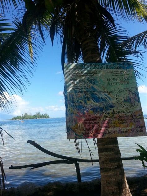 Lagoonarium. Moorea | Outdoor decor, Wonders of the world, Moorea