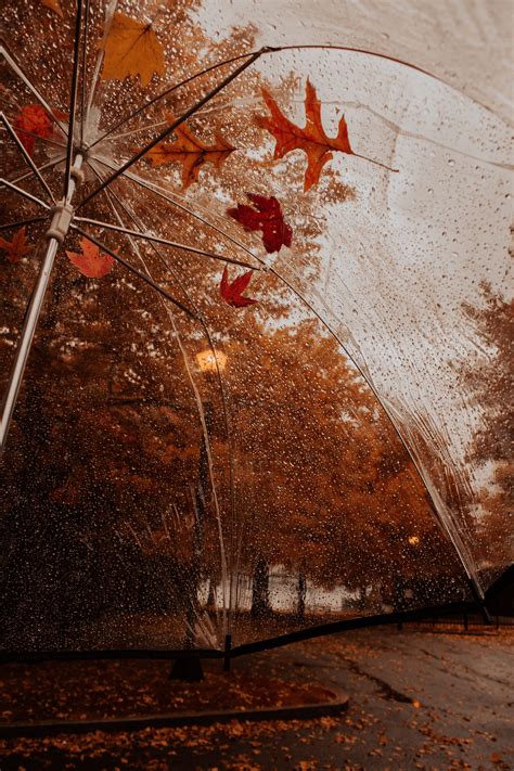 Rainy fall day | Fall wallpaper, Free fall wallpaper, Autumn photography