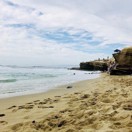 Shell Beach Tide Pools (La Jolla) - 2018 All You Need to Know Before ...