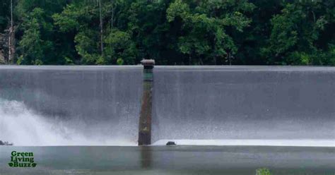 Environmental Impact of Hydroelectric Dam Construction