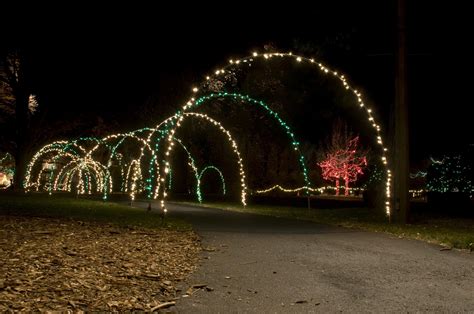 Diy christmas light arches – Artofit