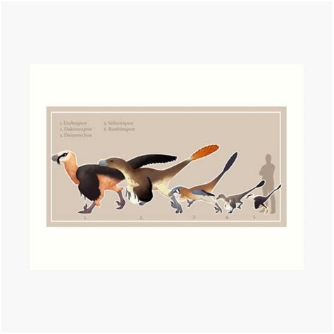 "Raptor Size Chart" Art Print for Sale by kutaa | Redbubble