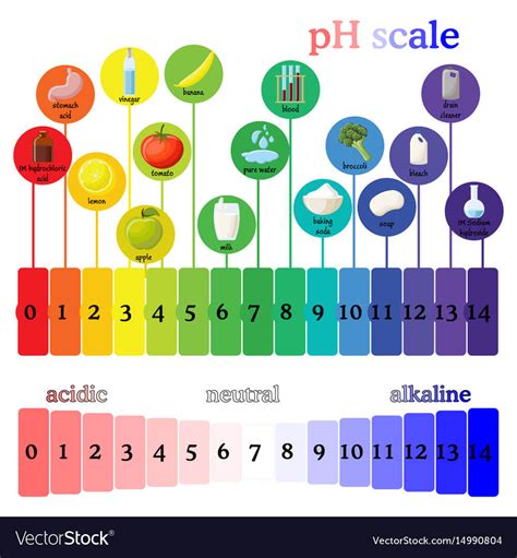 Gastric Acid Ph