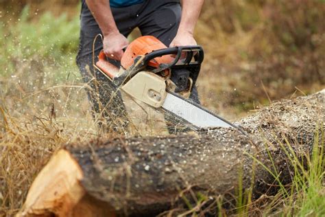 Lumberjack with Chainsaw Working Stock Photo - Image of grass ...