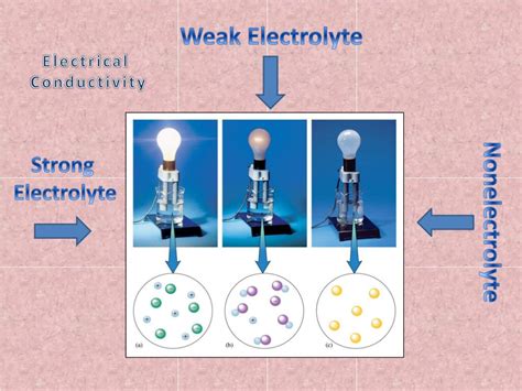 PPT - Water, Electrolytes, and Solutions PowerPoint Presentation, free ...