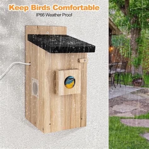 Dropship Smart Bird House With Camera,3MP Birdhouse Camera For Outdoors ...