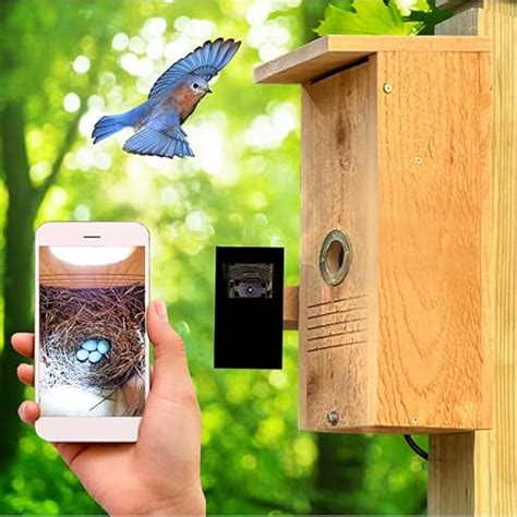 11 Best Bird Watching Camera- Our Picks, Alternatives & Reviews