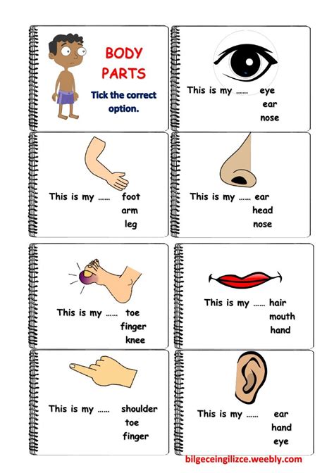 Kindergarten Body Parts Worksheet