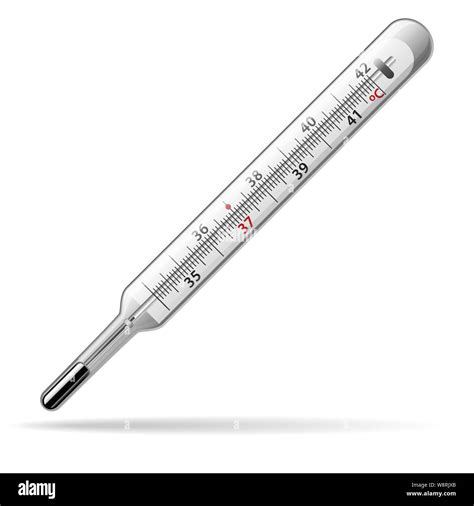 Thermometer medical. A glass mercury thermometer for measuring the ...