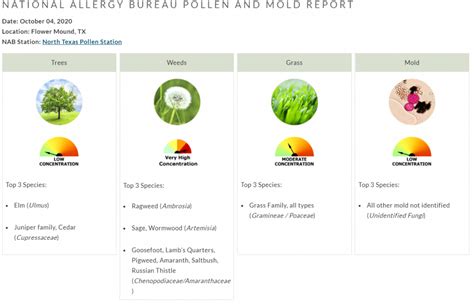 Flower Mound Allergy Count | Best Flower Site