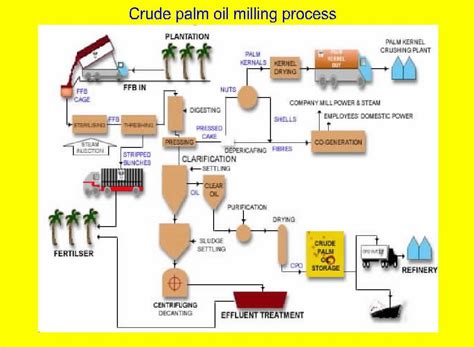 Crude Palm Oil Processing | Oil Extraction Plants