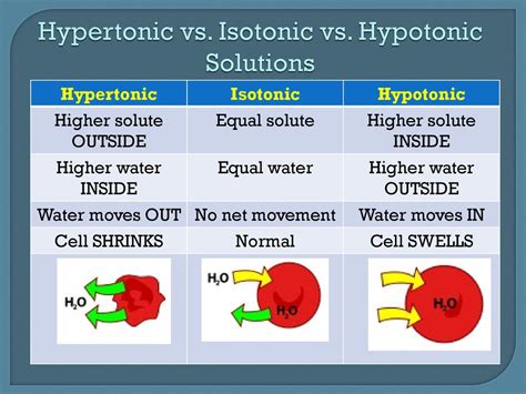 Isotonic Cell