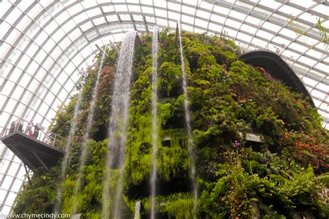 Cloud Forest Singapore - Aka Chymecindy