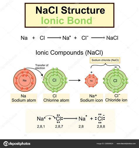 Structure Of Sodium Chloride Model Of Salt Compounds,Ionic, 42% OFF