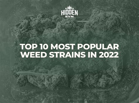 Top 10 Most Popular Weed Strains In 2022