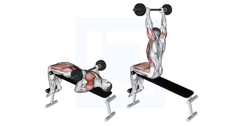 Barbell Press Sit Up - Guide, Benefits, and Form