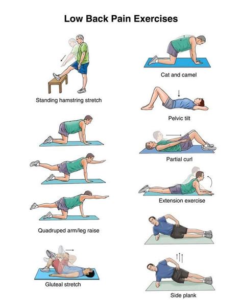 Exercises for Back Pain - Chiropractor Mankato