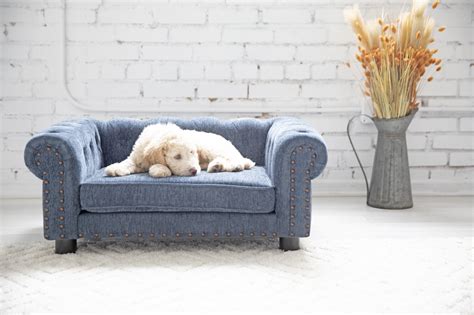 Tucson Furniture Dog Sofa Bed | ubicaciondepersonas.cdmx.gob.mx