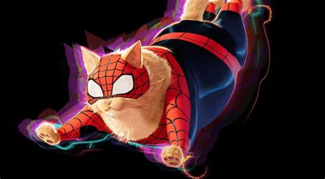 3840x2160 Resolution Spider Cat Across the Spider-Verse 4K Wallpaper ...