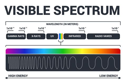 Visible light diagram. Color electromagnetic spectrum, light wave ...