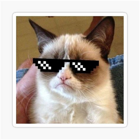 "cat with sun glasses- CATTIUDE " Sticker for Sale by shaiyuri | Redbubble