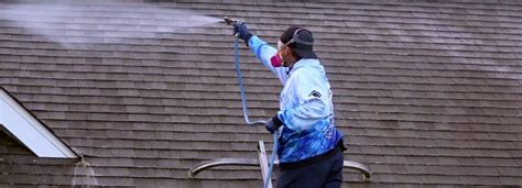 Roof Washing Cost - Judge Services