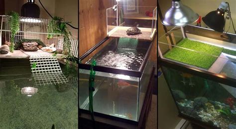 How to Make the Perfect Red Eared Slider Tank Setup – TurtleOwner.com