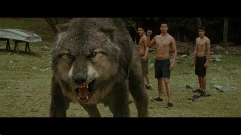 Werewolf Transformation Twilight