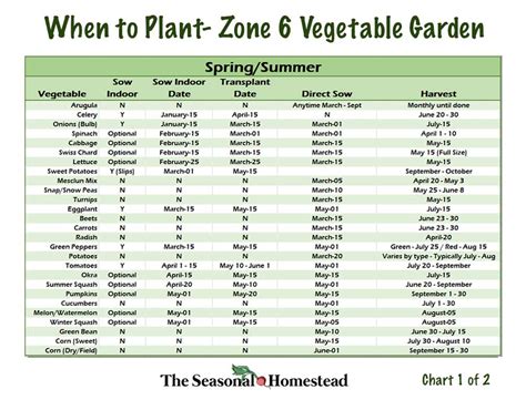 Garden Planting Schedule Zone 6 | Fasci Garden