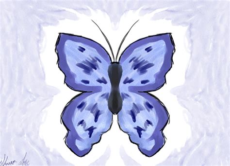 Symmetrical Butterfly By Srloctober23 On Deviantart