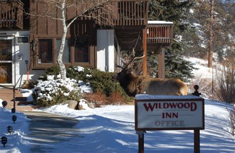 Wildwood Inn (Estes Park, CO) - Resort Reviews - ResortsandLodges.com