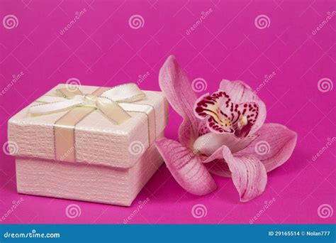 Box for gift and orchid stock photo. Image of elegant - 29165514