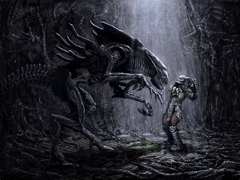 🔥 [110+] Alien Vs Predator Wallpapers | WallpaperSafari