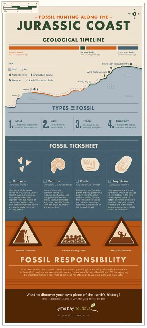 Fossil Hunting on the Jurassic Coast