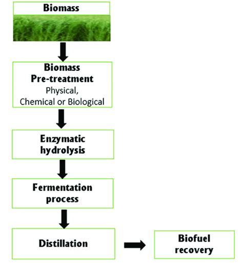 Schematic representation of the steps involved in biofuel production ...