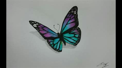 Pencil Drawings Pencil Drawings Of Butterflies