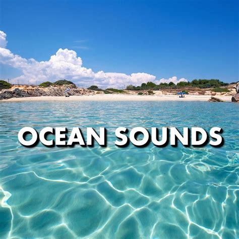 Ocean Sounds - Ocean Sounds | iHeart