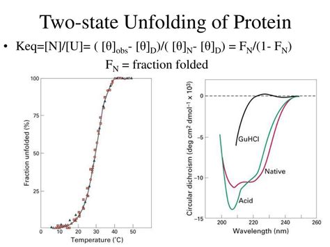 PPT - Protein Stability Protein Folding Chapter 6 PowerPoint ...