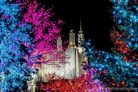 Festival of Lights 2016 | Hawke Photography