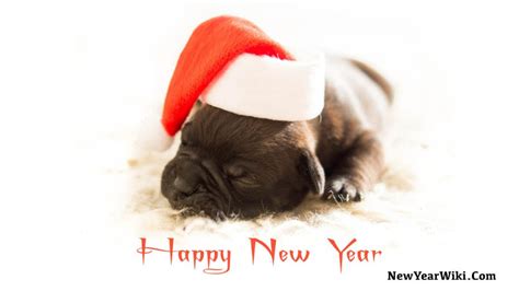 Happy New Year Dogs 2024 - Joy Donelle