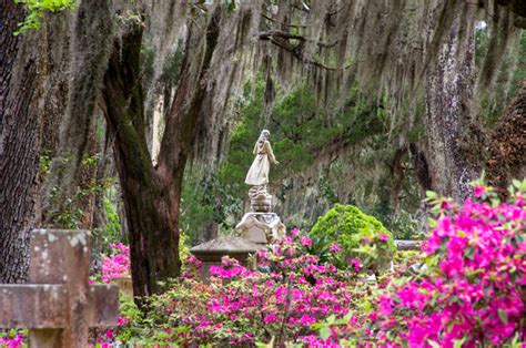 Bonaventure Cemetery - Visiting Tips & Discount Tours