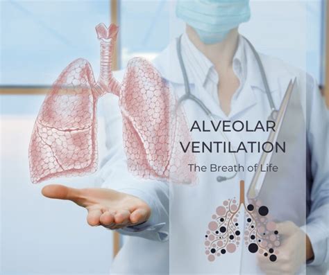 Alveolar Ventilation: The Breath of Life