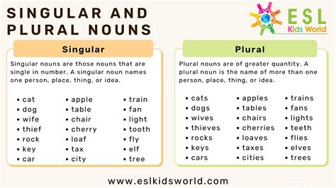 Irregular Plural Nouns Poster