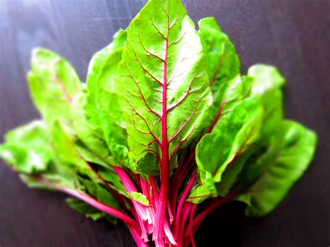 Beet Greens Health Benefits & Uses - Joyful Belly School of Ayurveda